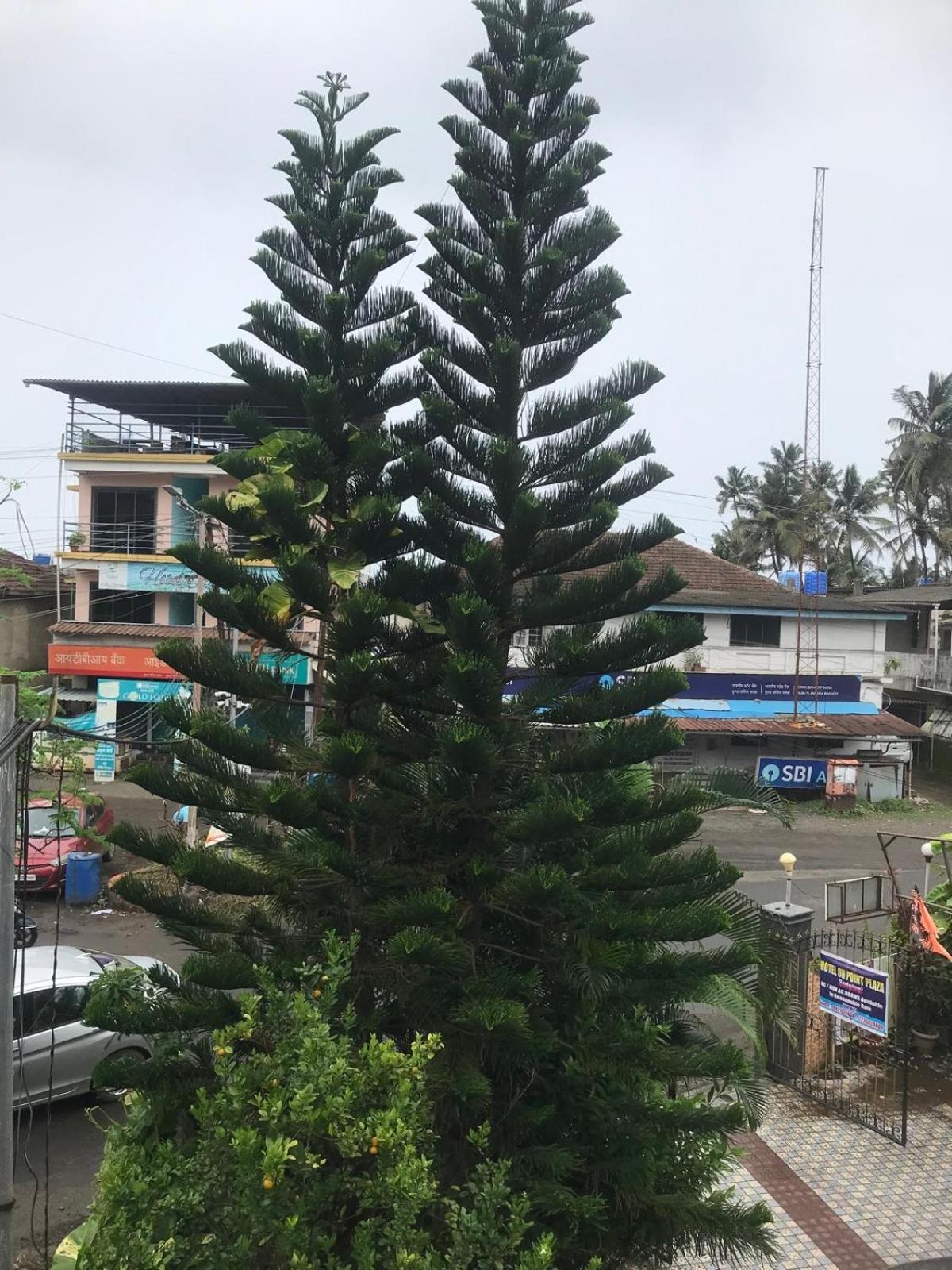 On Point Plaza Bed & Breakfast Murud  Luaran gambar